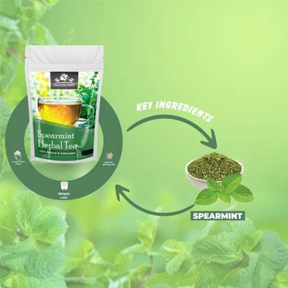 herbal tea offering relaxation and wellness