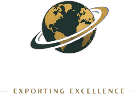 Zyprano  logo with branding for website consistency.